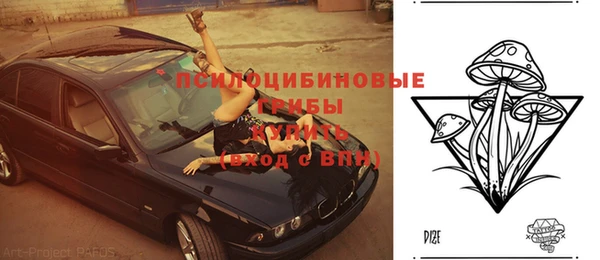 молекула духа Баксан