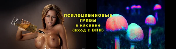 молекула духа Баксан