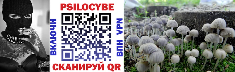 Купить  Кушва  Псилоцибиновые грибы прущие грибы 